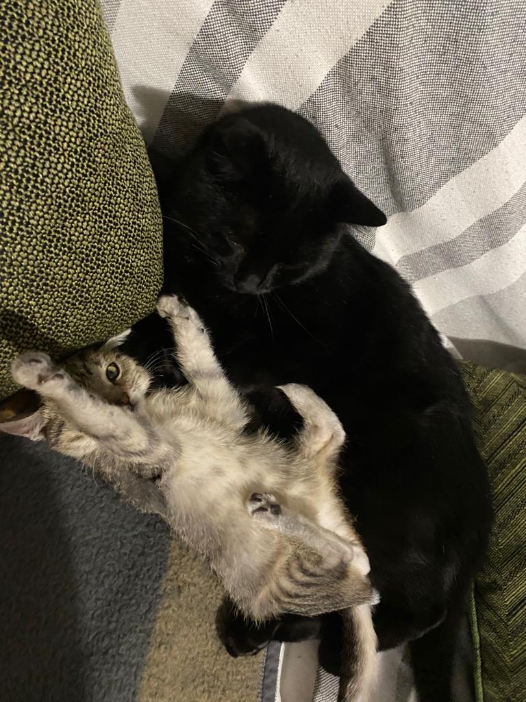 friends image 4