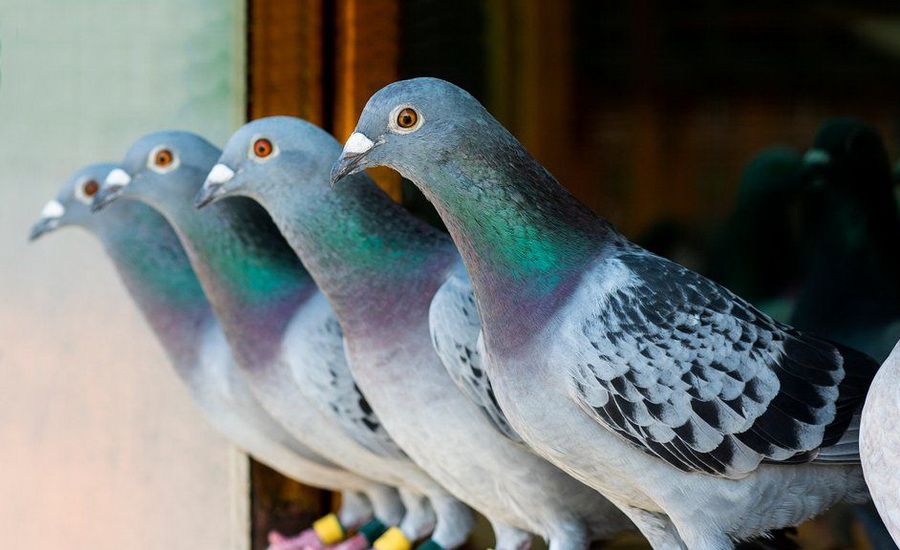 friends image 7