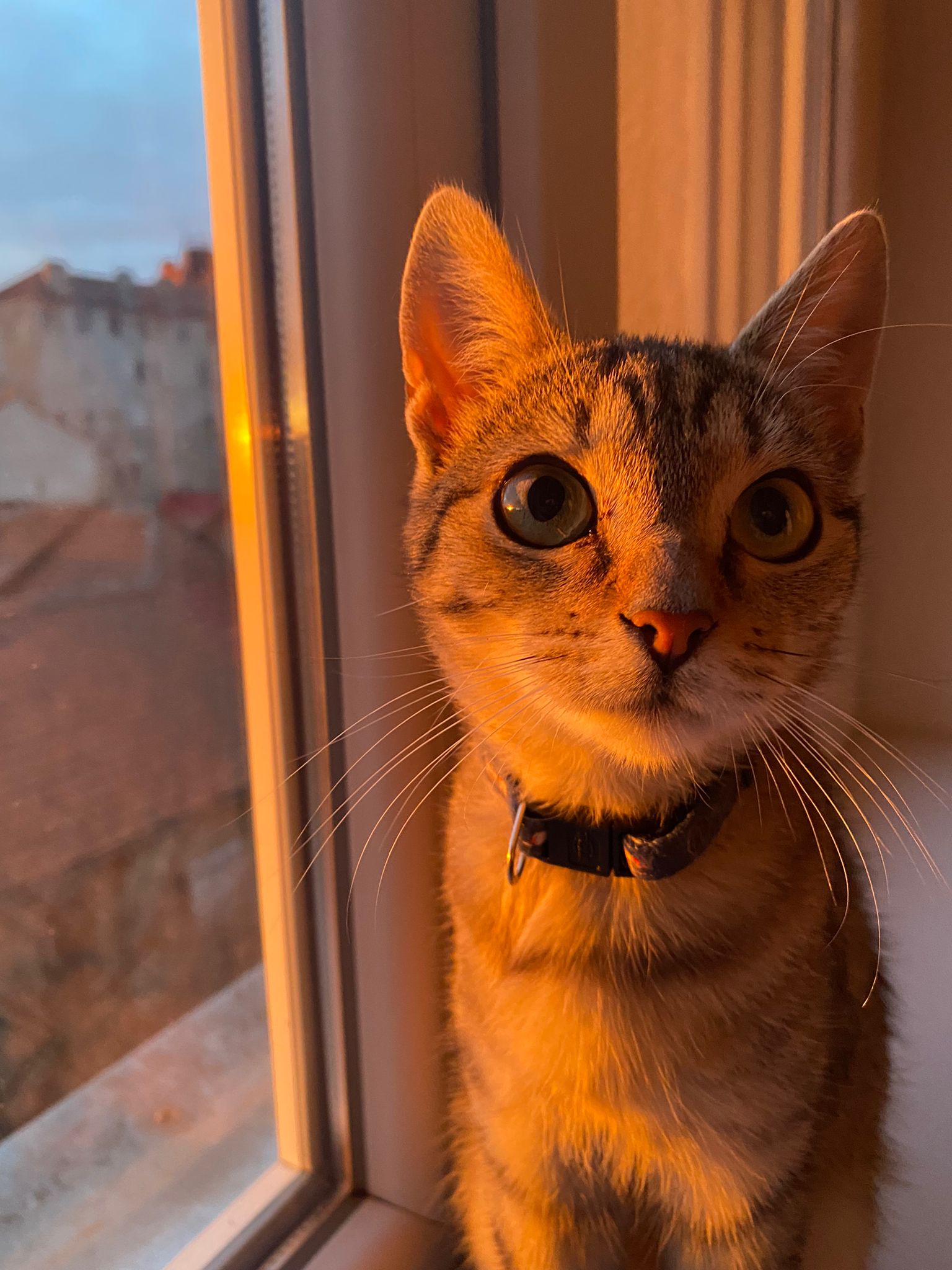 img 2