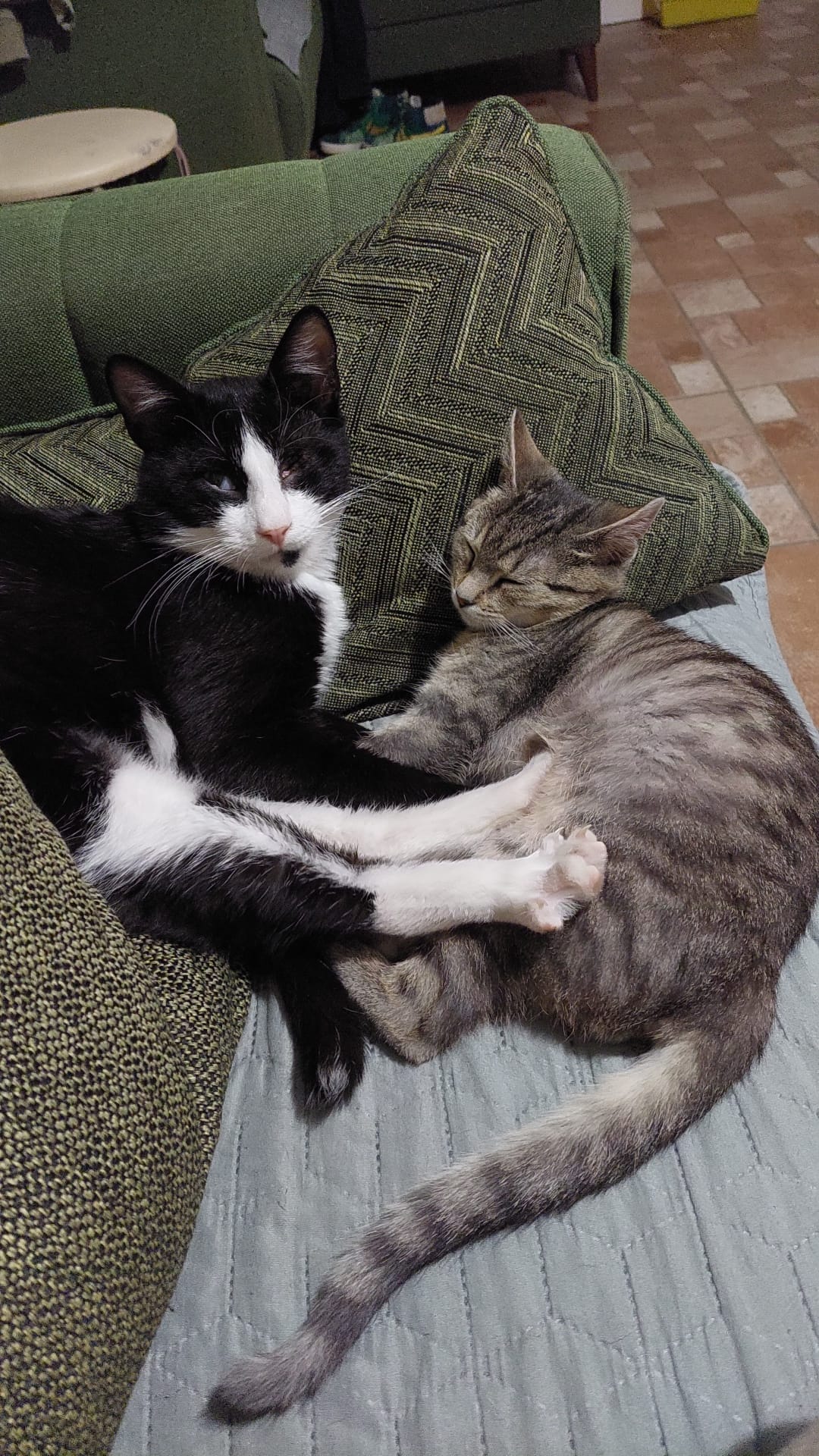 friends image 1